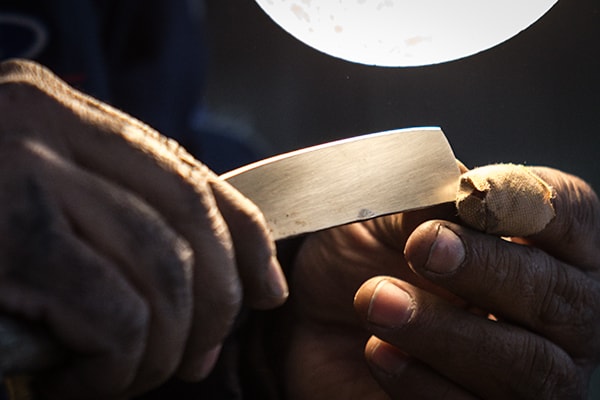 Examining the sharpened edge of a blade
